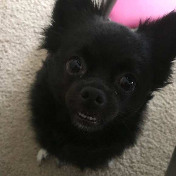 Meet your Posher, Freya EightyEight - Picture 5 of 16